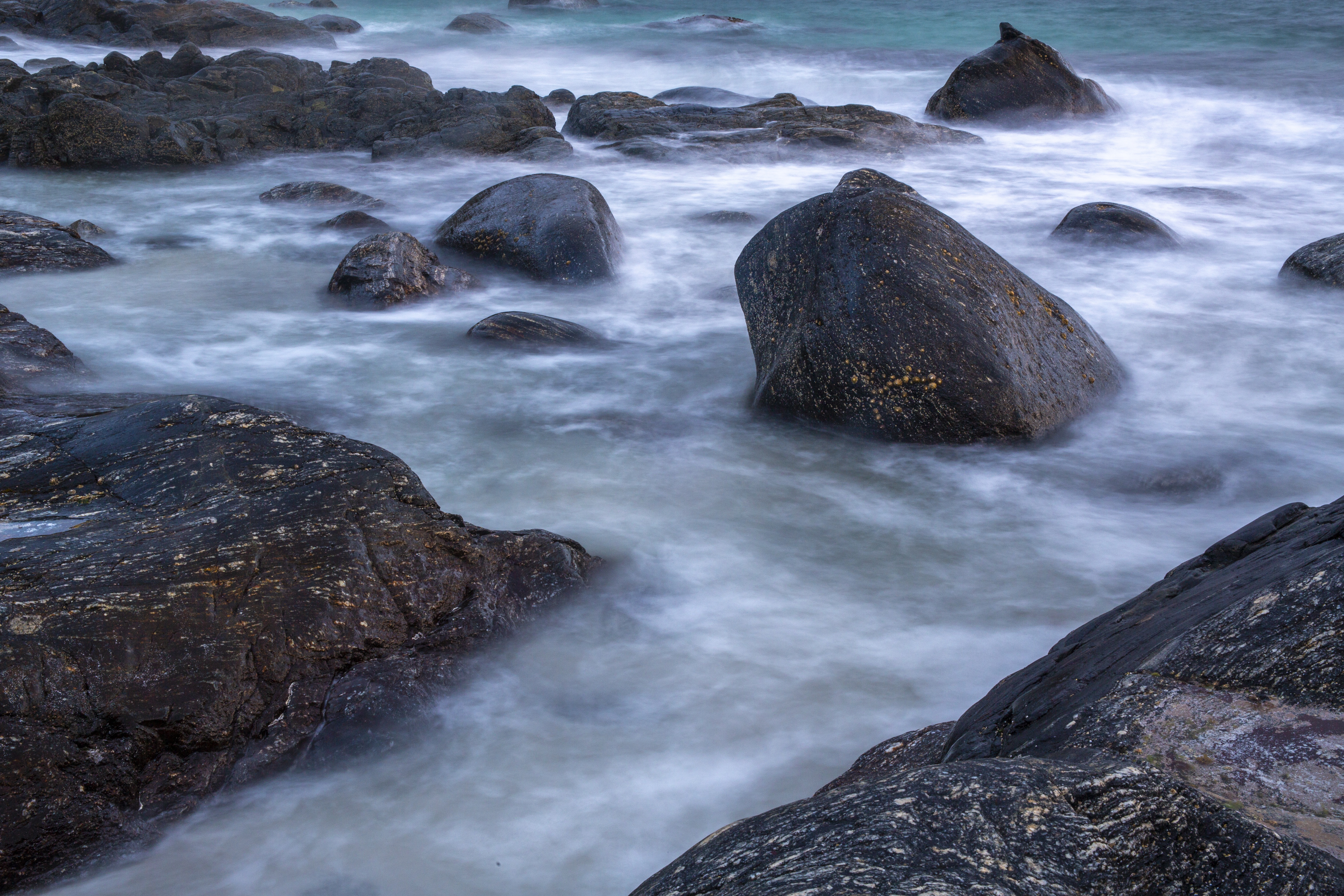 Ocean